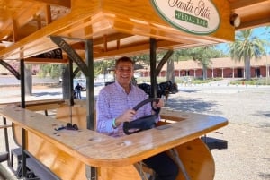 Maipo Valley: Private Wine Route Tour of Santa Rita and Alyan Vineyards + Dinner