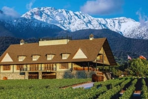 Maipo Valley: Private Wine Route Tour of Santa Rita and Alyan Vineyards + Dinner
