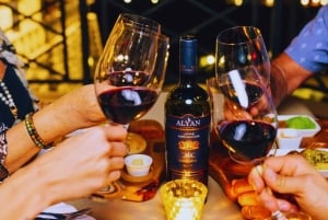 Maipo Valley: Private Wine Route Tour of Santa Rita and Alyan Vineyards + Dinner