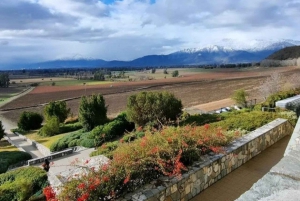 Tour Privado Maipo Valley Wine Experience