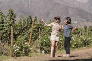 Tour Privado Valle del Maipo Wine Experience