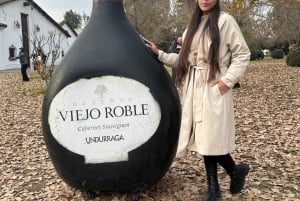 Maipo Valley Wine Tour, Santa Rita And Undurraga From STGO