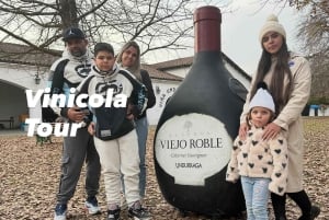 Maipo Valley Wine Tour, Santa Rita And Undurraga From STGO