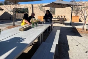 Privat vintur i Maipódalen