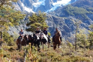 Mallín Grande: całodniowa jazda konna do lodowca Ventisquero Tronador