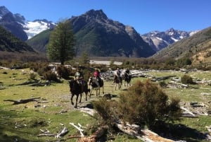Mallín Grande: całodniowa jazda konna do lodowca Ventisquero Tronador