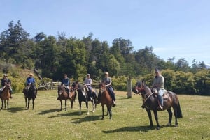 Mallín Grande: całodniowa jazda konna do lodowca Ventisquero Tronador