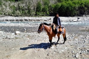 Mallín Grande: Full-day horseback ride to Ventisquero Tronador
