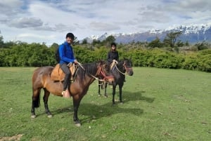 Mallín Grande: Full-day horseback ride to Ventisquero Tronador