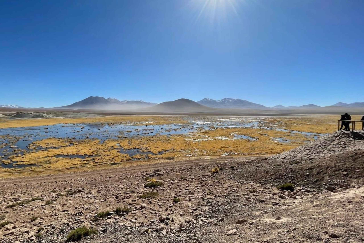 Незабываемый тур к гейзерам Татио с фламинго и живописными видами