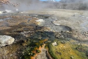 Memorable Excursión a los Géiseres del Tatio con Flamencos y Vistas Panorámicas