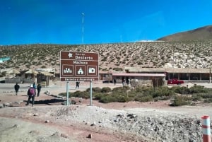 Memorable Excursión a los Géiseres del Tatio con Flamencos y Vistas Panorámicas