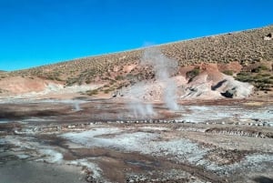 Memorable Excursión a los Géiseres del Tatio con Flamencos y Vistas Panorámicas