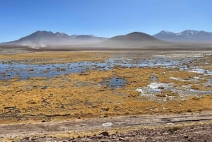 Memorable Excursión a los Géiseres del Tatio con Flamencos y Vistas Panorámicas