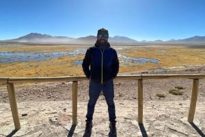 Memorable Excursión a los Géiseres del Tatio con Flamencos y Vistas Panorámicas