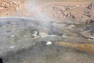 Memorable Excursión a los Géiseres del Tatio con Flamencos y Vistas Panorámicas