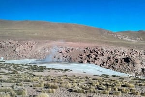 Memorable Excursión a los Géiseres del Tatio con Flamencos y Vistas Panorámicas