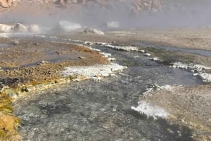 Memorable Excursión a los Géiseres del Tatio con Flamencos y Vistas Panorámicas