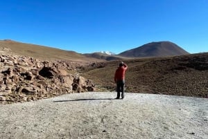 Memorable Excursión a los Géiseres del Tatio con Flamencos y Vistas Panorámicas