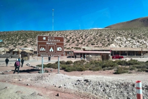 Незабываемый тур к гейзерам Татио с фламинго и живописными видами