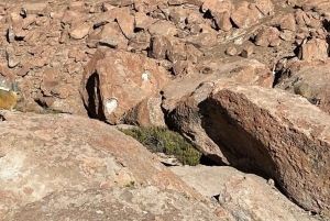 Незабываемый тур к гейзерам Татио с фламинго и живописными видами