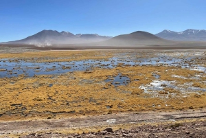 Незабываемый тур к гейзерам Татио с фламинго и живописными видами