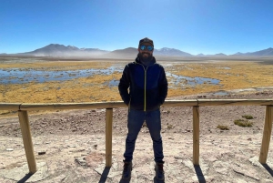 Незабываемый тур к гейзерам Татио с фламинго и живописными видами