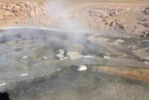 Незабываемый тур к гейзерам Татио с фламинго и живописными видами