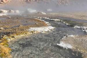 Незабываемый тур к гейзерам Татио с фламинго и живописными видами