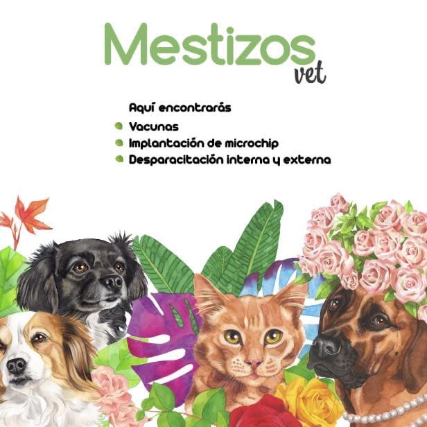 Pet Shops  and  Services in Santiago
