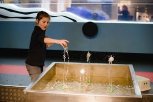 Tour privado al Museo Interactivo Mirador Santiago con tickets de entrada