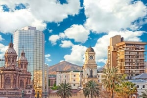 Museum van de Herinnering en Mensenrechten Santiago Privé Tour