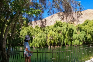 Must-sees of the Elqui Valley