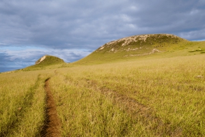 Tajemnica Poike: Spacer po najbardziej nieznanym Rapa Nui