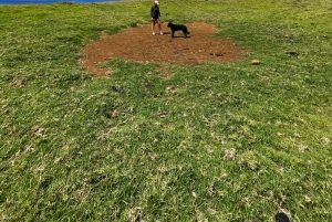 Tajemnica Poike: Spacer po najbardziej nieznanym Rapa Nui