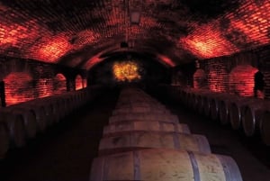 Новый Concha y Toro Marques с классом, дополнительной дегустацией и едой