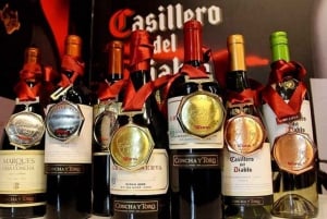 Новый Concha y Toro Marques с классом, дополнительной дегустацией и едой