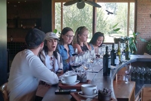 Ruta del vino ecológico almuerzo tradicional chileno y Valparaíso