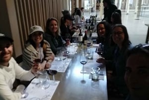 Ruta del vino ecológico almuerzo tradicional chileno y Valparaíso