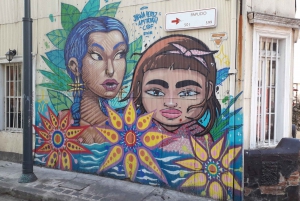 Pacific Treasures: Valparaiso and Viña del Mar Private Tour