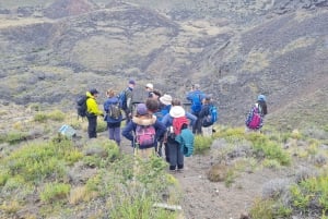 Punta Arenas: Full Day Pali Aike