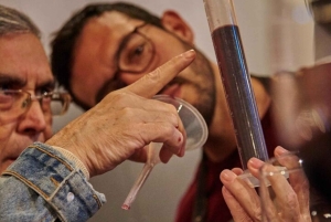 Пальмилья: сделайте свой собственный винный тур