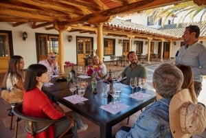 Palmilla: Wine and Flavors Tour