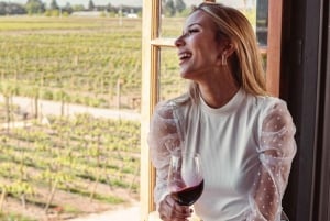 Palmilla: Wine and Flavors Tour