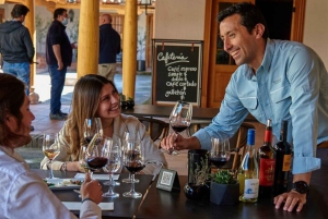 Palmilla: Vin- och smaktur