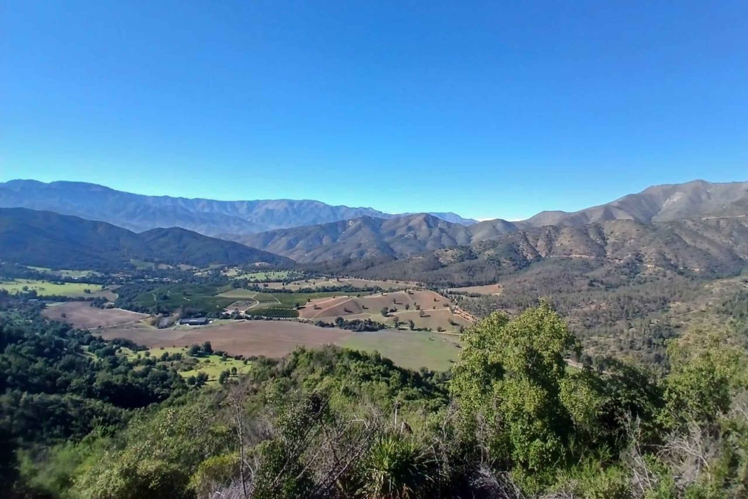 Pangue-dalen: Privat tur med vinprovning på vingården Viña Lopez Pangue