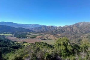 Pangue-dalen: Privat tur med vinprovning på vingården Viña Lopez Pangue