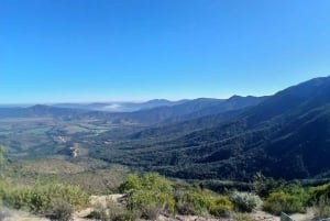 Pangue-dalen: Privat tur med vinprovning på vingården Viña Lopez Pangue