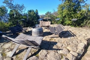 Pangue-dalen: Privat tur med vinprovning på vingården Viña Lopez Pangue