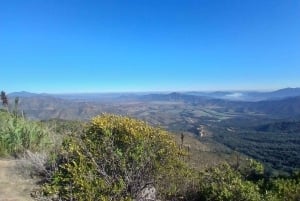 Pangue-dalen: Privat tur med vinprovning på vingården Viña Lopez Pangue